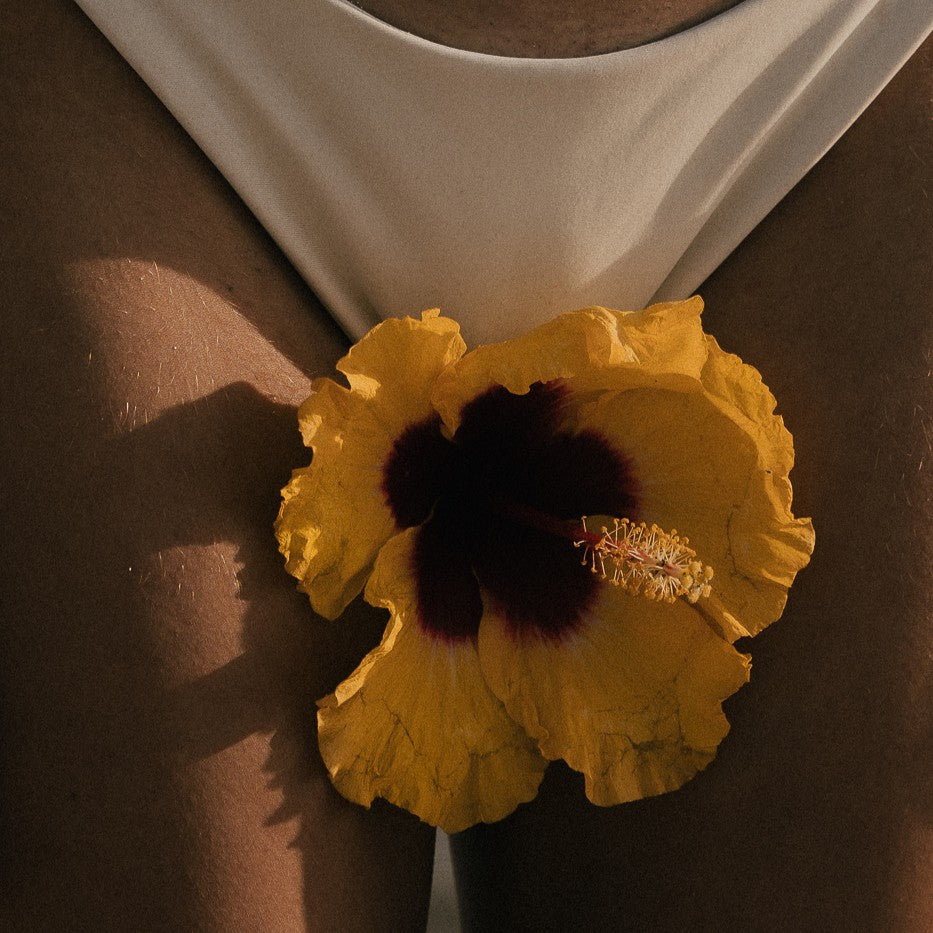 Who Designed Your Vagina