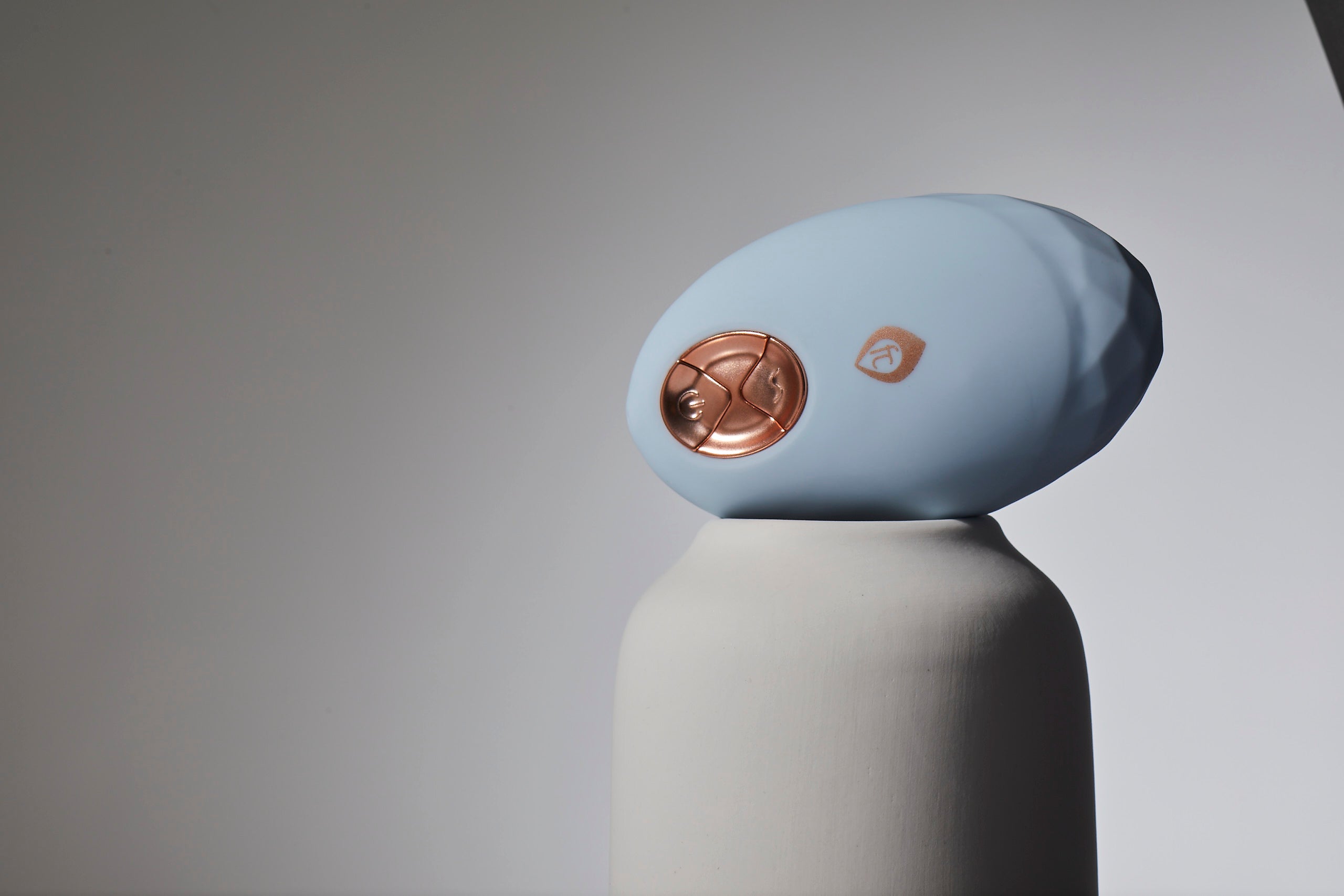 Oval Love - Vulva Vibrator